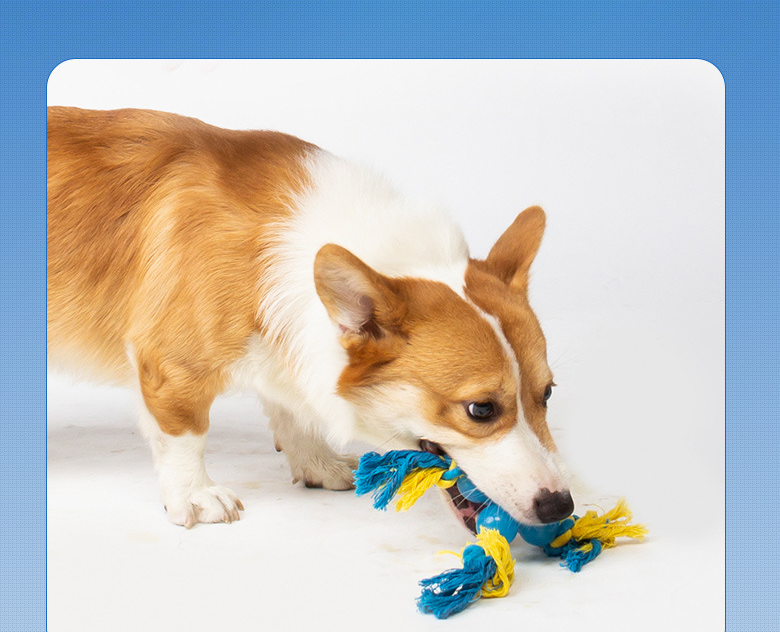Rope Pulling Toy