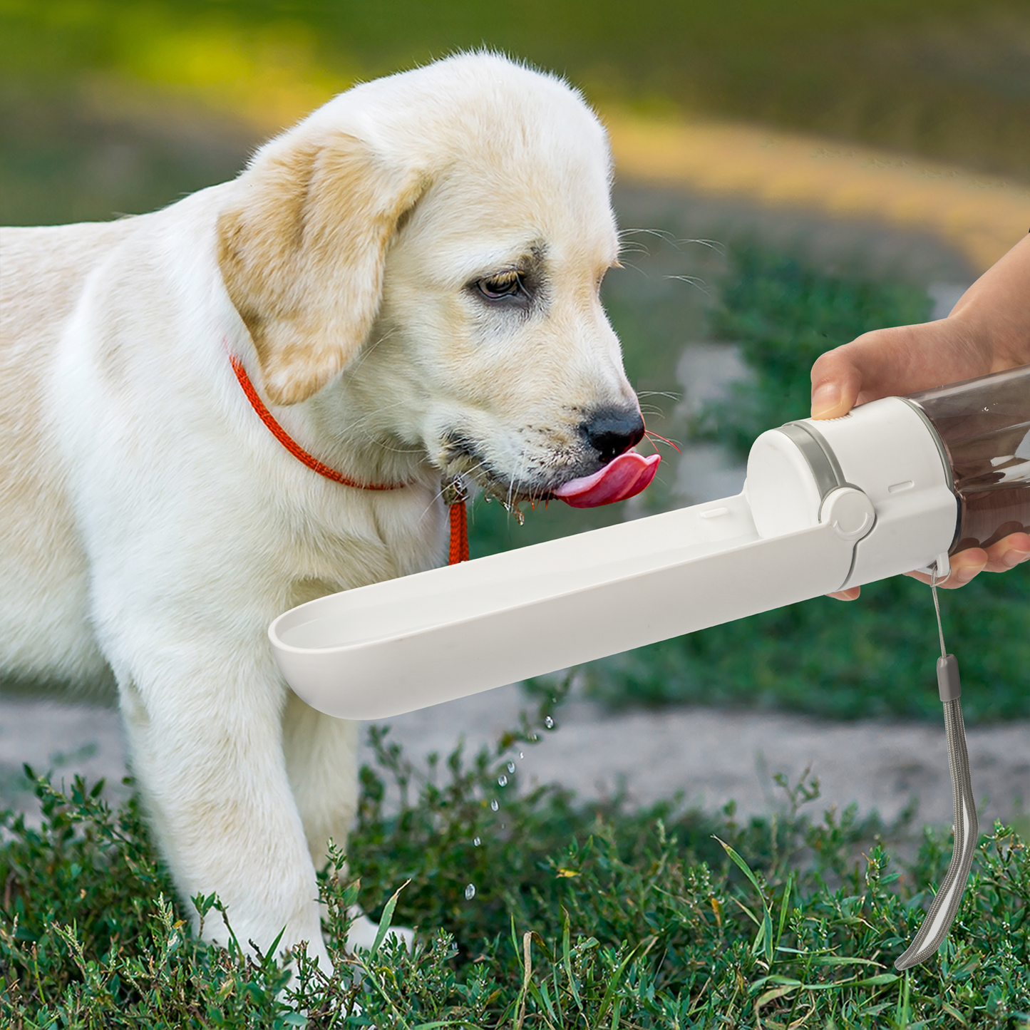 Portable Pet Water Cup w/ Dispencer
