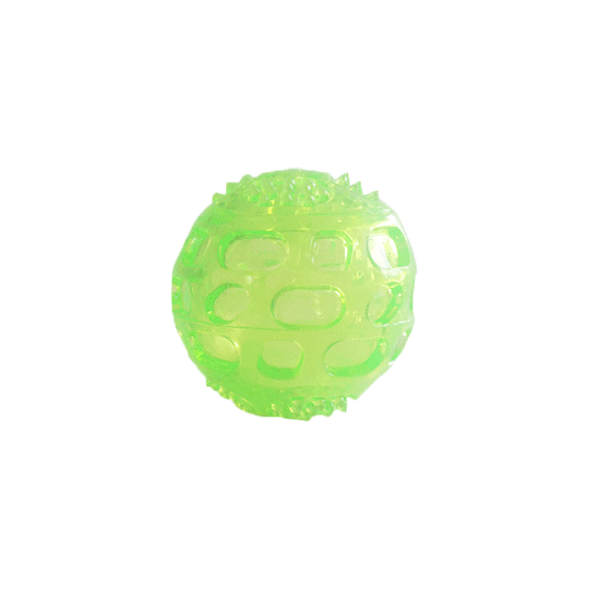 Bite Resistant Pet Ball with sound