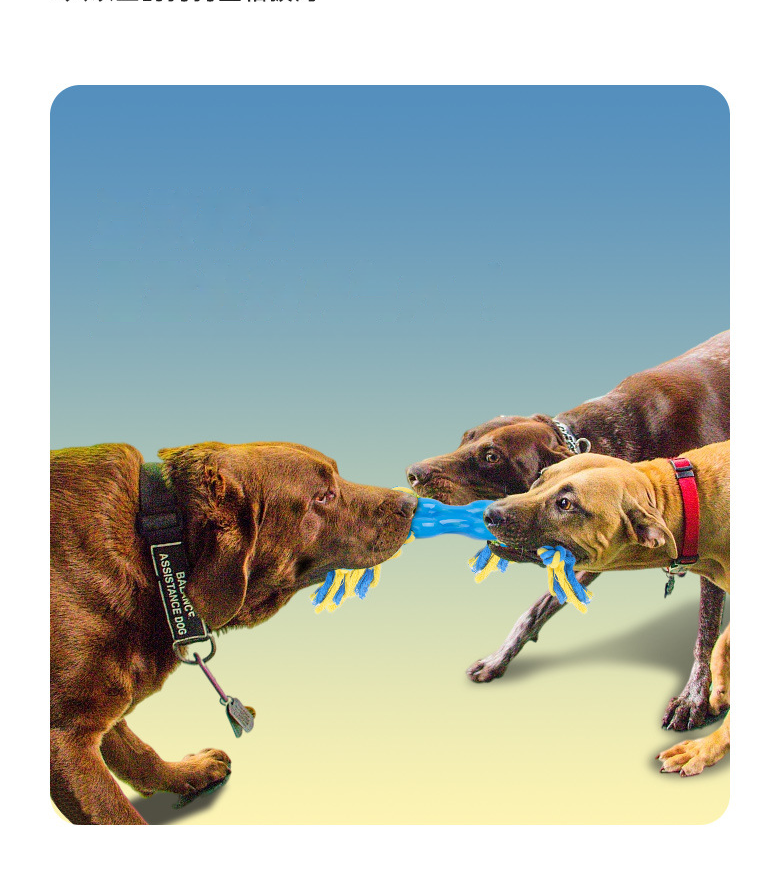 Rope Pulling Toy