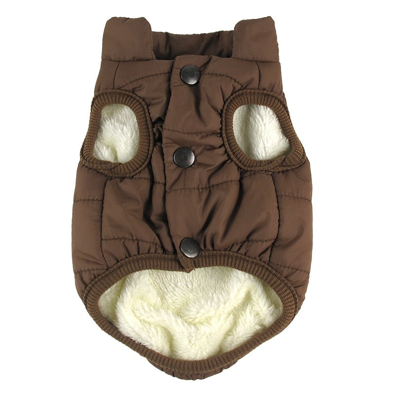 Pet Coat