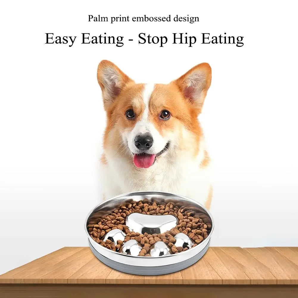 Pet Slow Feeding Food Bowl