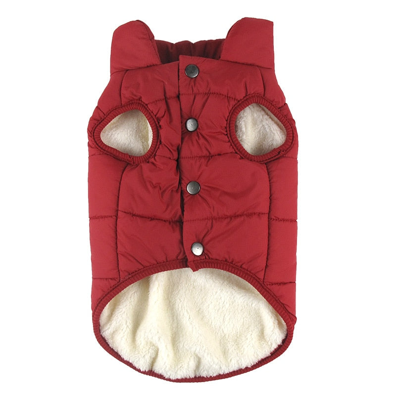 Pet Coat