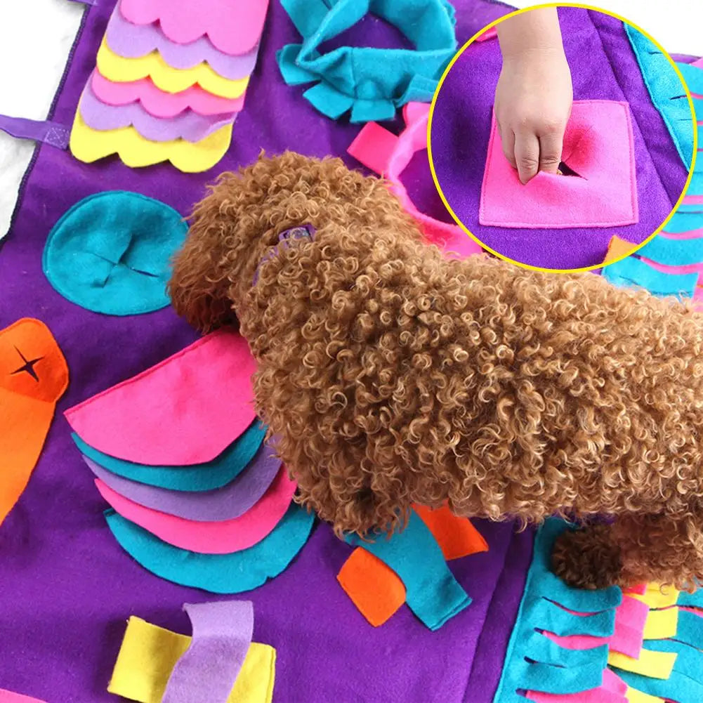 Pet Training Blanket