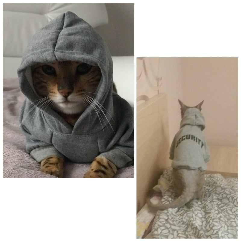 Pet Hoodie