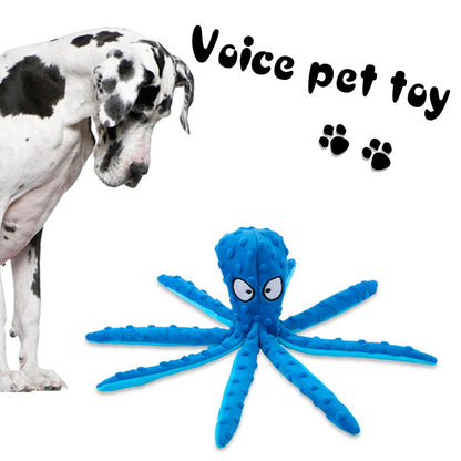 Pet Sound Toy