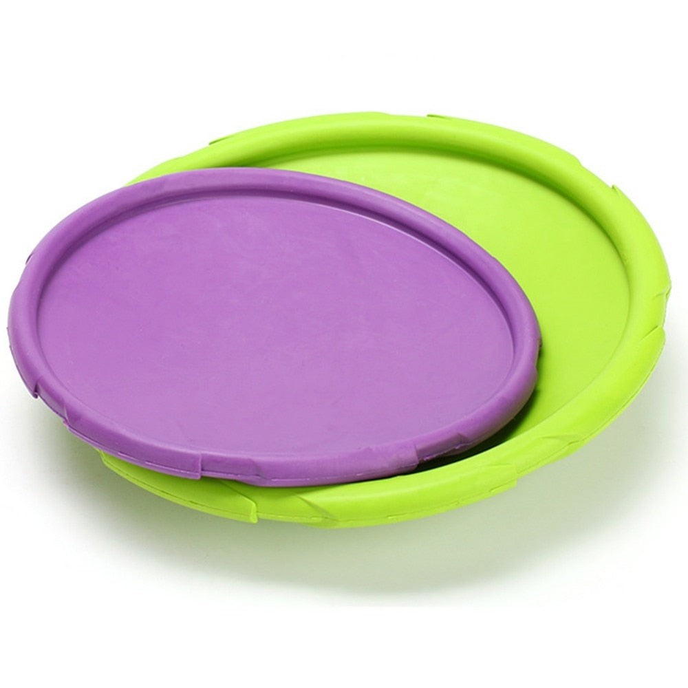 Pet Flying Disc