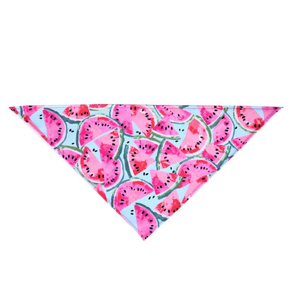 Printed Pet Dog Bandana