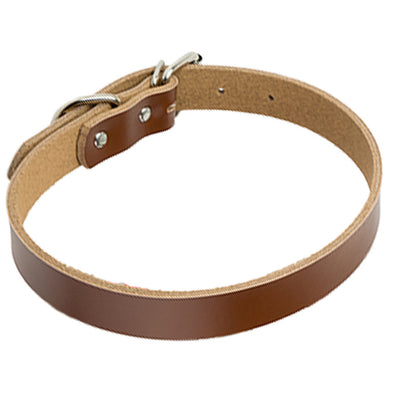 Pure Leather Dog Collars