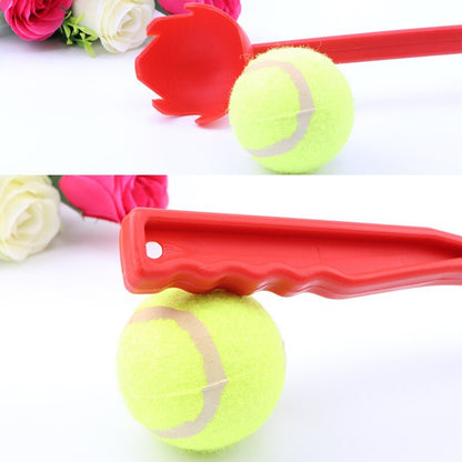 Pet Ball Launcher