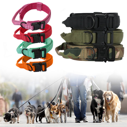 Tactical Dog Collars and Leashes