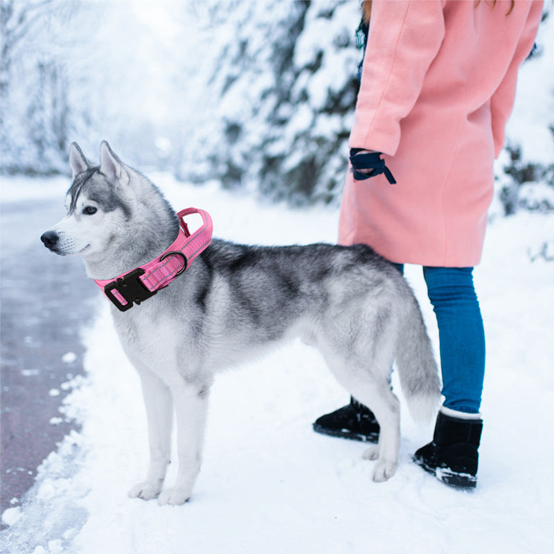 Tactical Dog Collars and Leashes