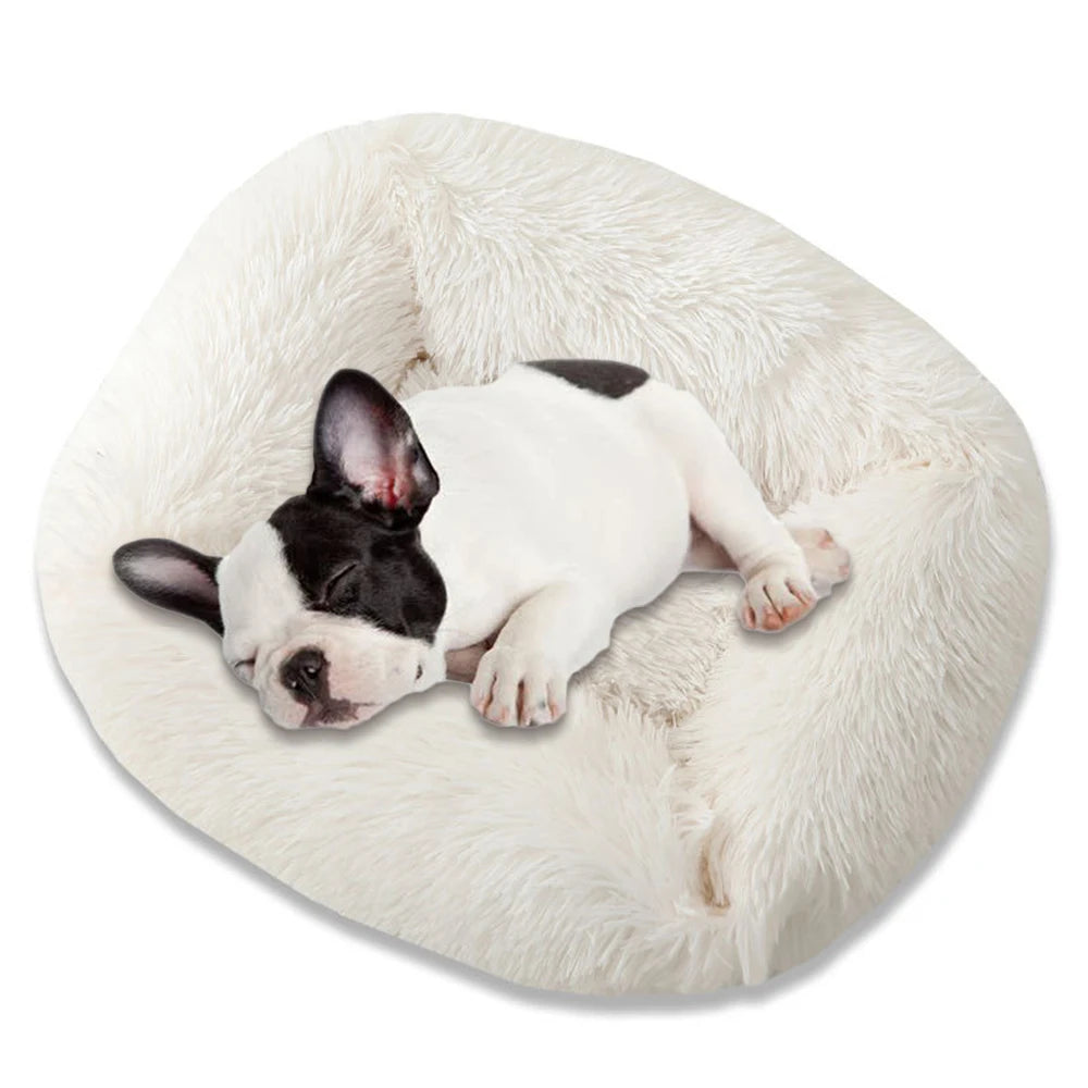 Plush Pet Bed