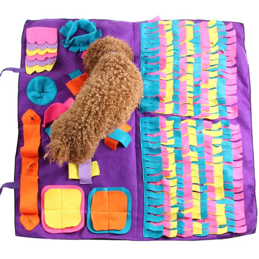 Pet Training Blanket